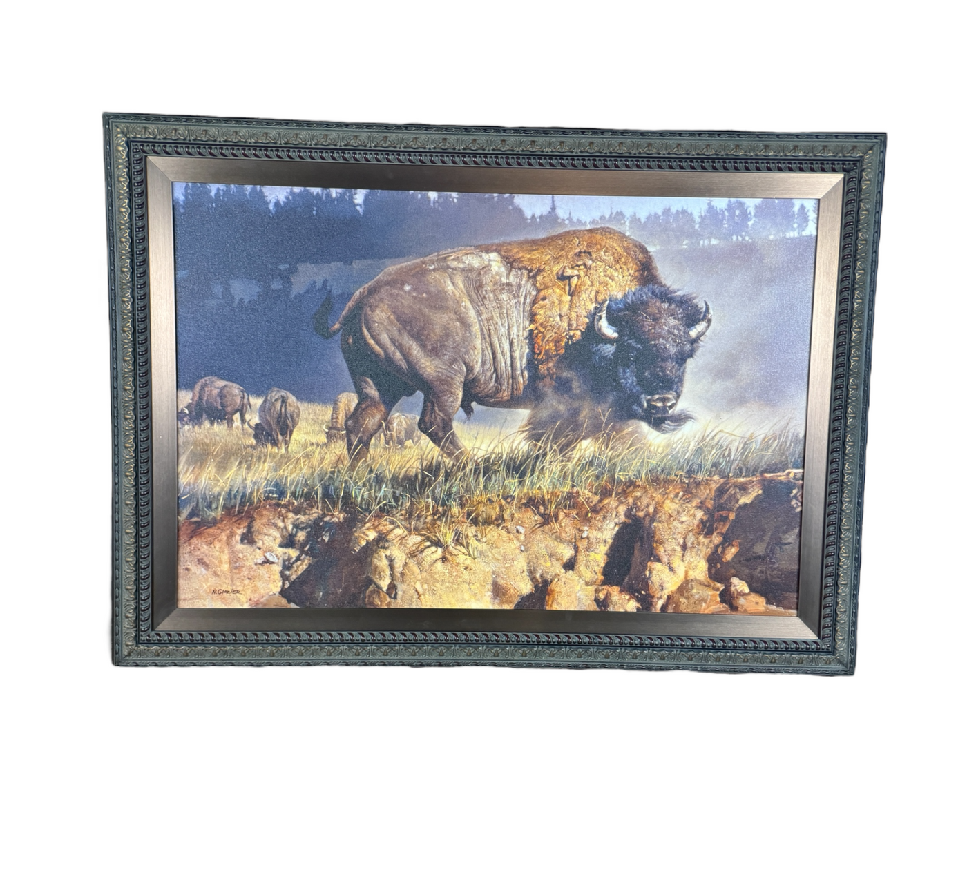 Buffalo Ridge Art