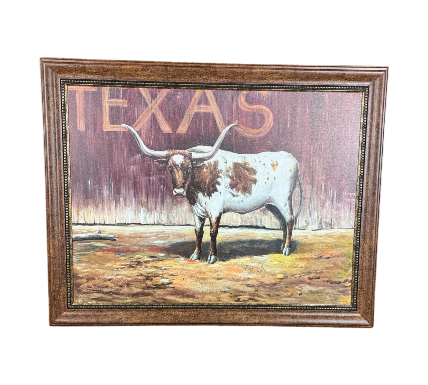 Long Texas Longhorn