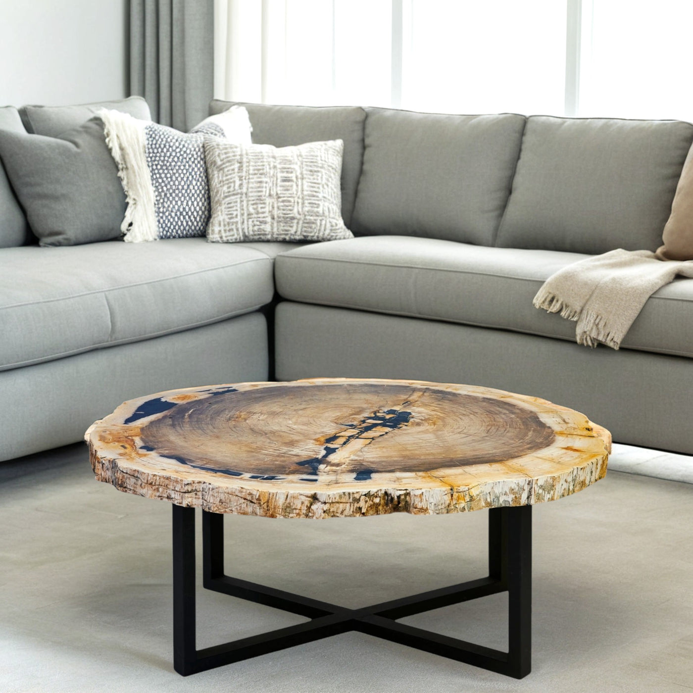 Petrified Wood Coffee Table