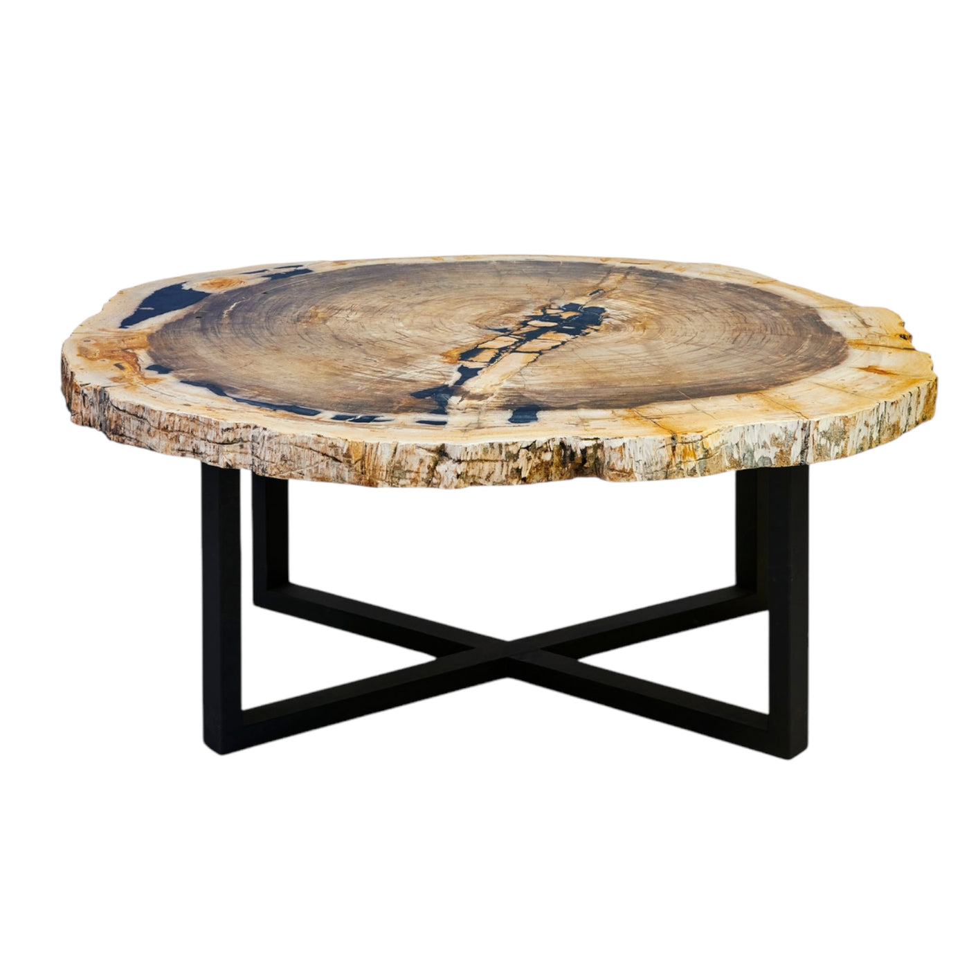 Petrified Wood Coffee Table-A